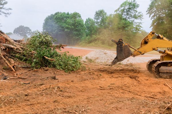 Forestry Mulching Service in Waxahachie