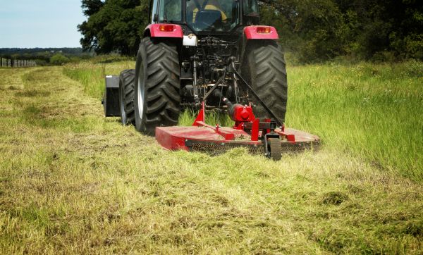 Brush Clearing Service in Waxahachie