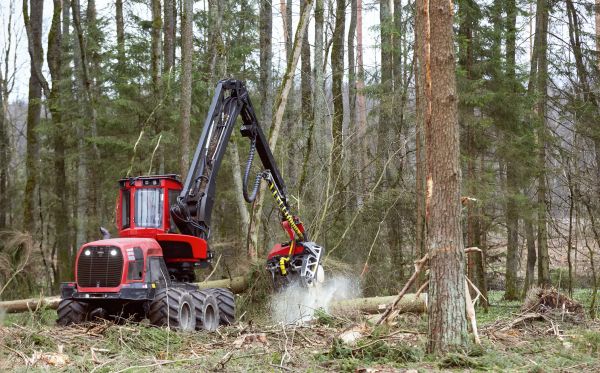 Forest Clearance Service in Waxahachie