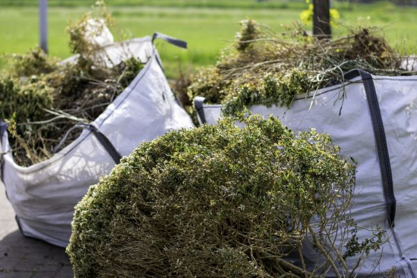 Bushes Clearing in Waxahachie