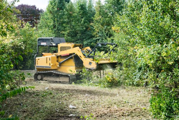 Pathway Clearing in Waxahachie