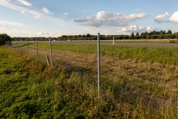 Property Line Clearing in Waxahachie