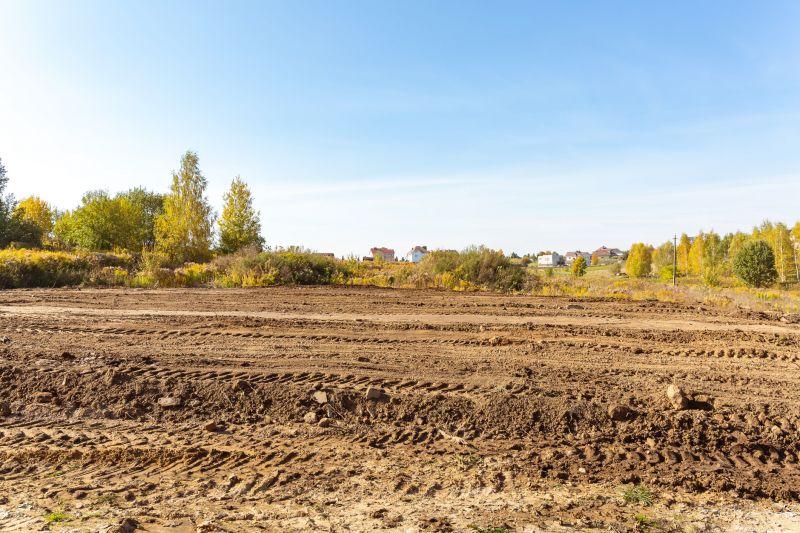 Whatâ€™s Involved In Professional Land Clearing?